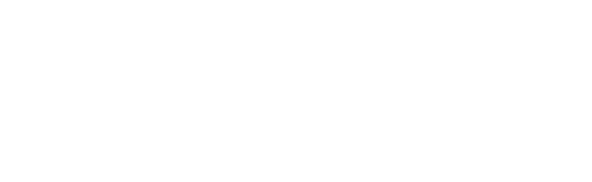 The Knowledge Provider