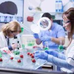 Strategic Roadmap Vision for a Biotechnology Company